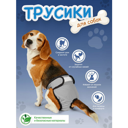 Трусы для собаки во время течки многоразовые XL, подгузники для собак крупных пород впитывающие