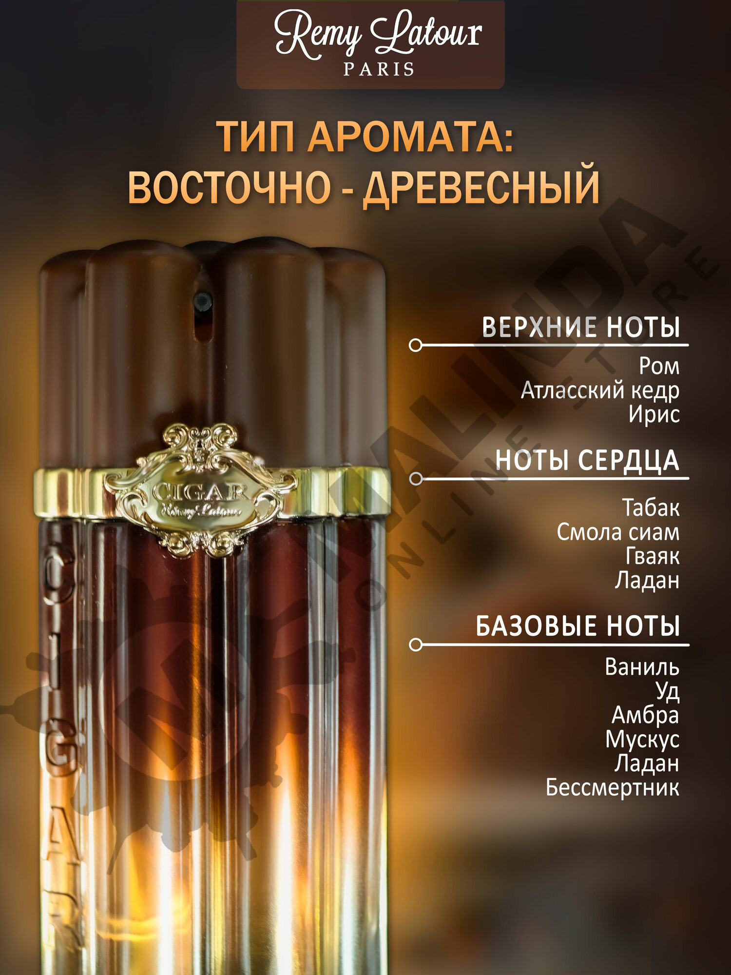 Парфюмерная вода Remy Latour Cigar Mystic Oud, мужская, 100мл — фото 1