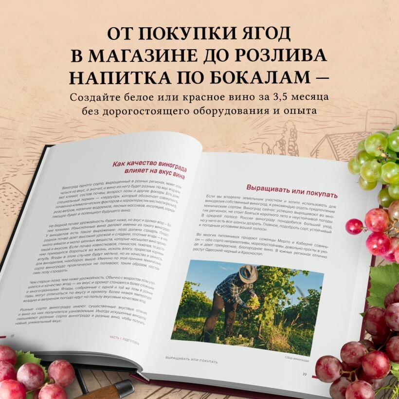 Домашнее виноделие от А до Я.: виноградное вино. Пошаговое руководство - фото №12