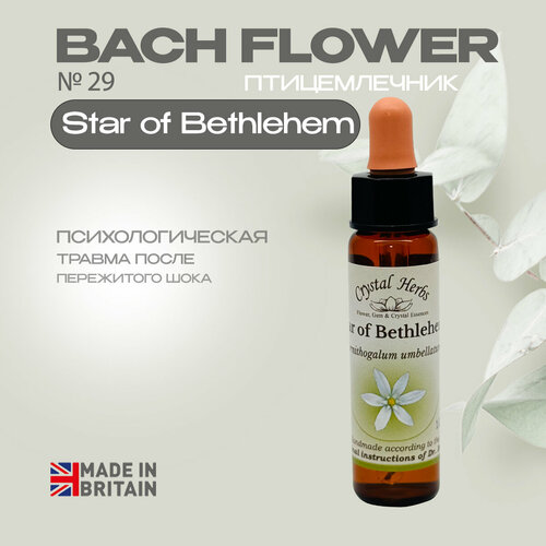 Цветы Баха, эссенция №29 Star of Веthlehem (Птицемлечник) Стар оф Вифлеем - капли 10 мл. Англия
