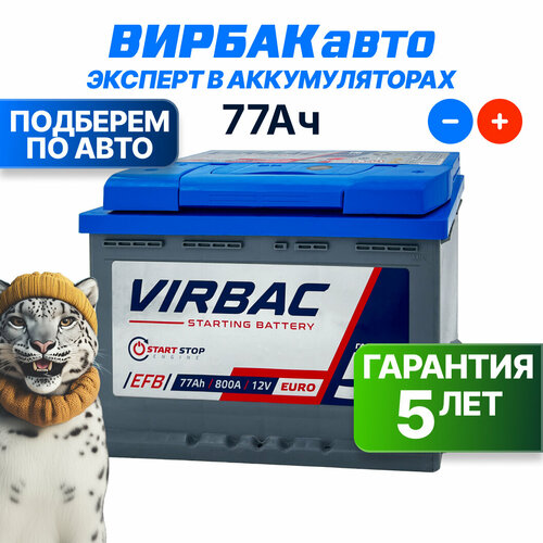 Аккумулятор VIRBAC EFB 77 Ач 800 А обратная полярность, 278x175x190 мм