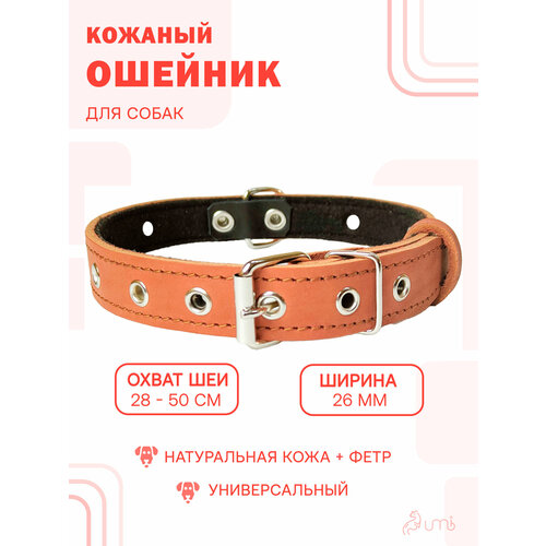 Кожаный ошейник (обхват шеи 28-50 см.) на фетре для собак / коричневый цвет