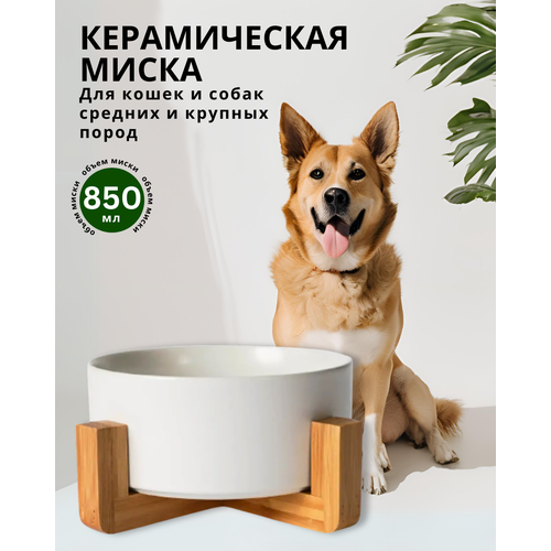 Миска керамическая для животных ZooWell Aura на подставке, белый, 850мл