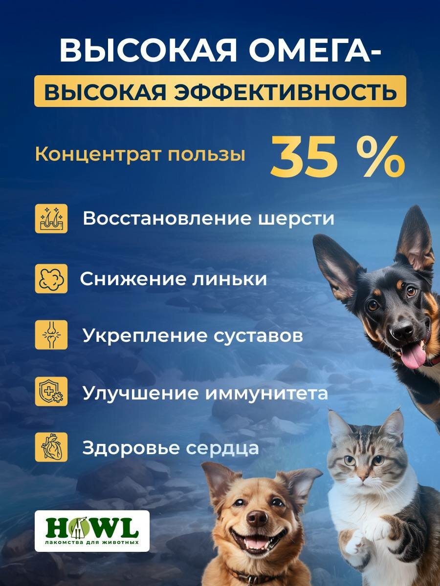 Лососевое масло/ Витамины для собак и кошек/ Рыбий жир 750 мл/Натуральная пищевая добавка для собак и кошек HOWL — фото 1