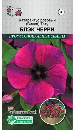 Катарантус (Винка) Тату Блэк Черри 5 семян PanAm Seed/ Евросемена