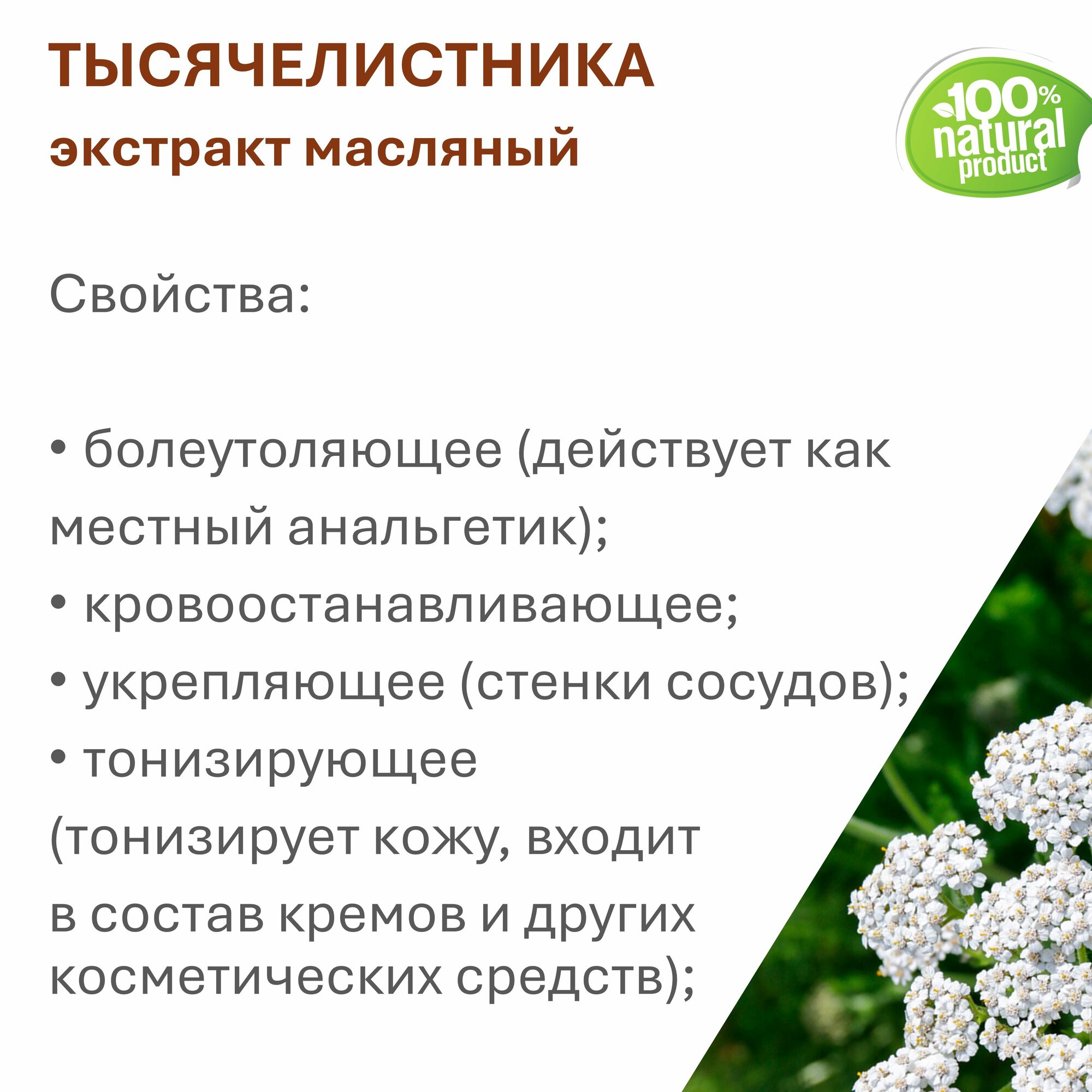 Изображение Экстракт тысячелистника, масляный - 500 мл