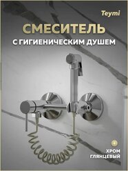 Смеситель с гигиеническим душем хром Teymi Martta T10268