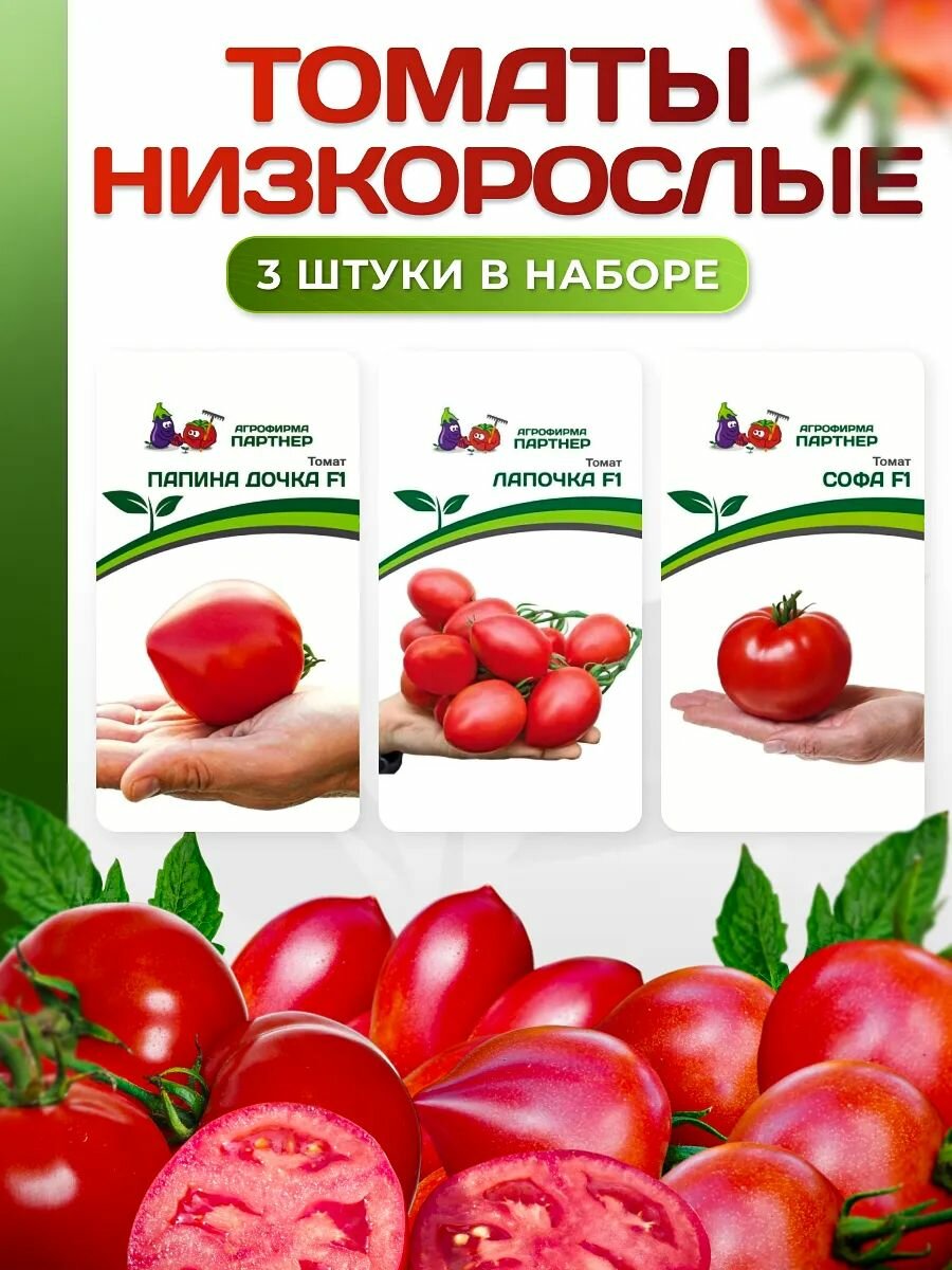 Семена набор  Томаты низкорослые   Папина дочка  Софа  Лапочка