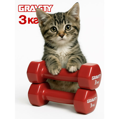 Гантели с виниловым покрытием Gravity, красные, 3 кг, пара