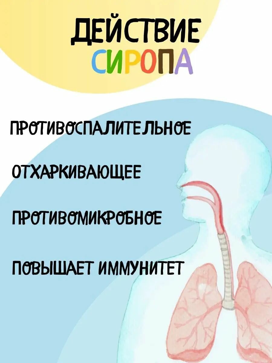 Сироп от кашля, микстура от простуды и гриппа, от сухого и влажного кашля, для детей 100 мл Ранкоф Тимошка Аптека Асна — фото 1