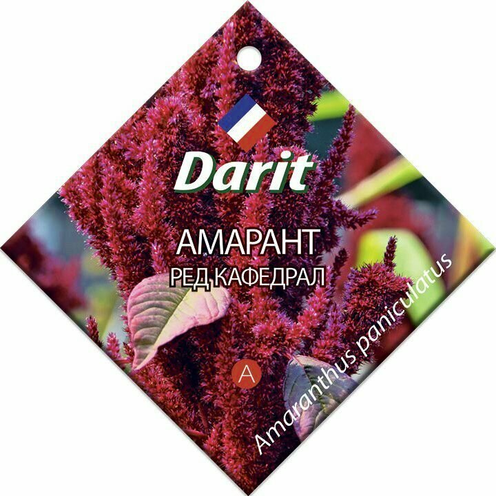Семена амаранта Дарит 