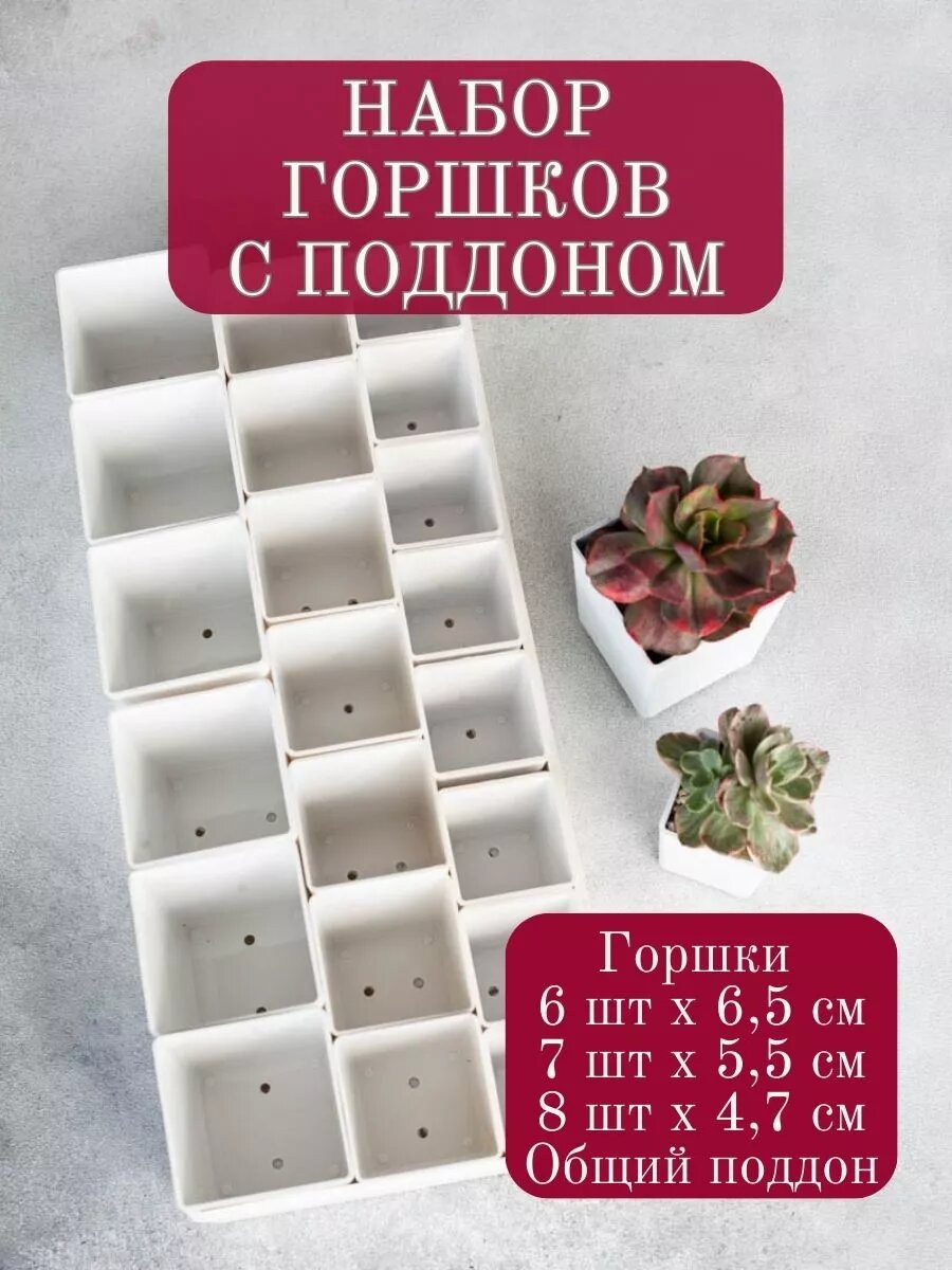 Горшки Garden Emili, для кактусов и суккулентов, набор 21 шт, с поддоном, белое