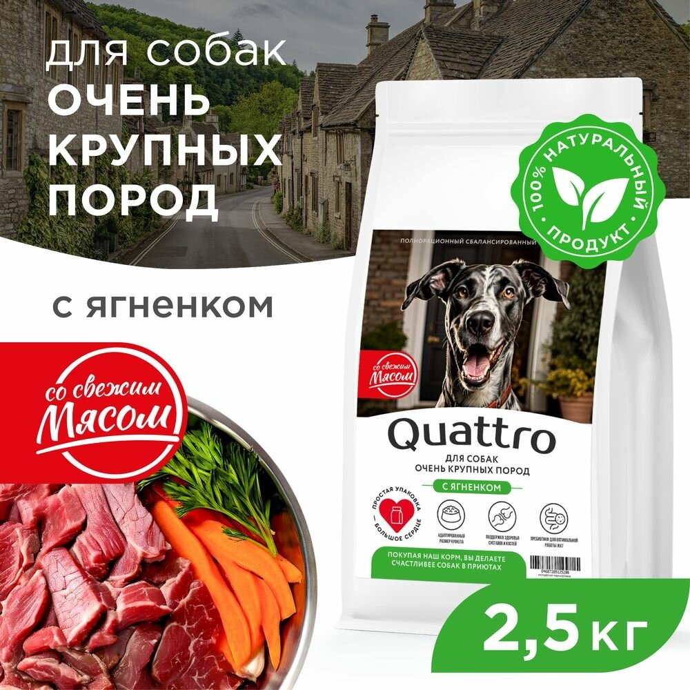 Quattro корм для взрослых собак очень крупных пород, с ягненком 2,5 кг
