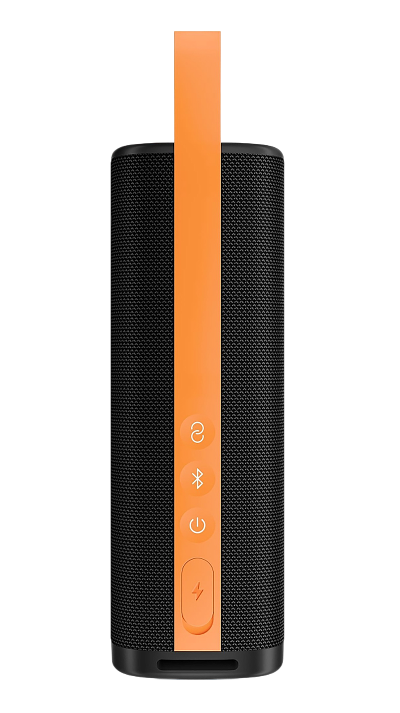 Колонка Xiaomi Sound Outdoor 30W S29D MDZ-38-DB Black — фото 1