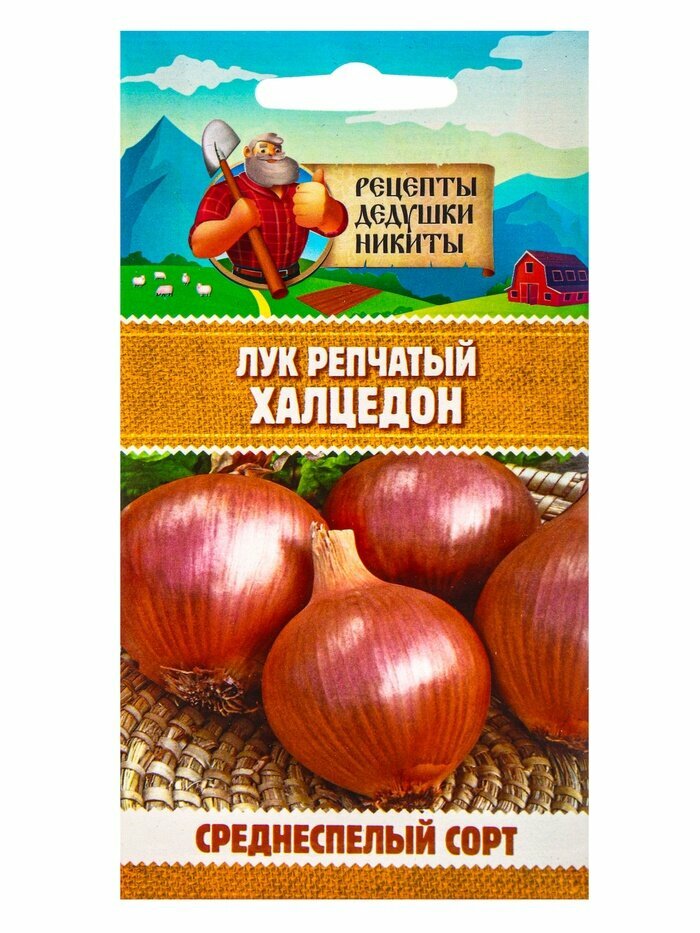 Рецепты дедушки Никиты Семена Лук репчатый 
