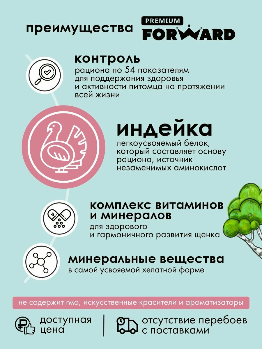 Сухой корм для щенков, гипоаллергенный, ягненок и индейка, 2 кг — фото 1