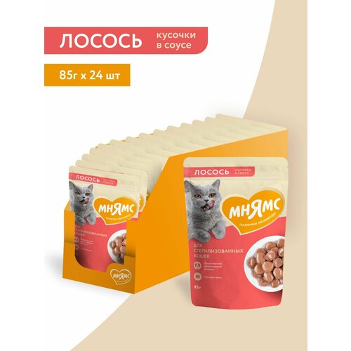 Влажный корм Мнямс Кусочки в соусе с лососем для стерилизованных кошек 85г × 24 шт.