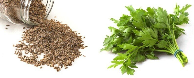 Семена петрушки Агрофирма аэлита "Москвичка", двулетние, зелень хорошо отрастает — фото 1