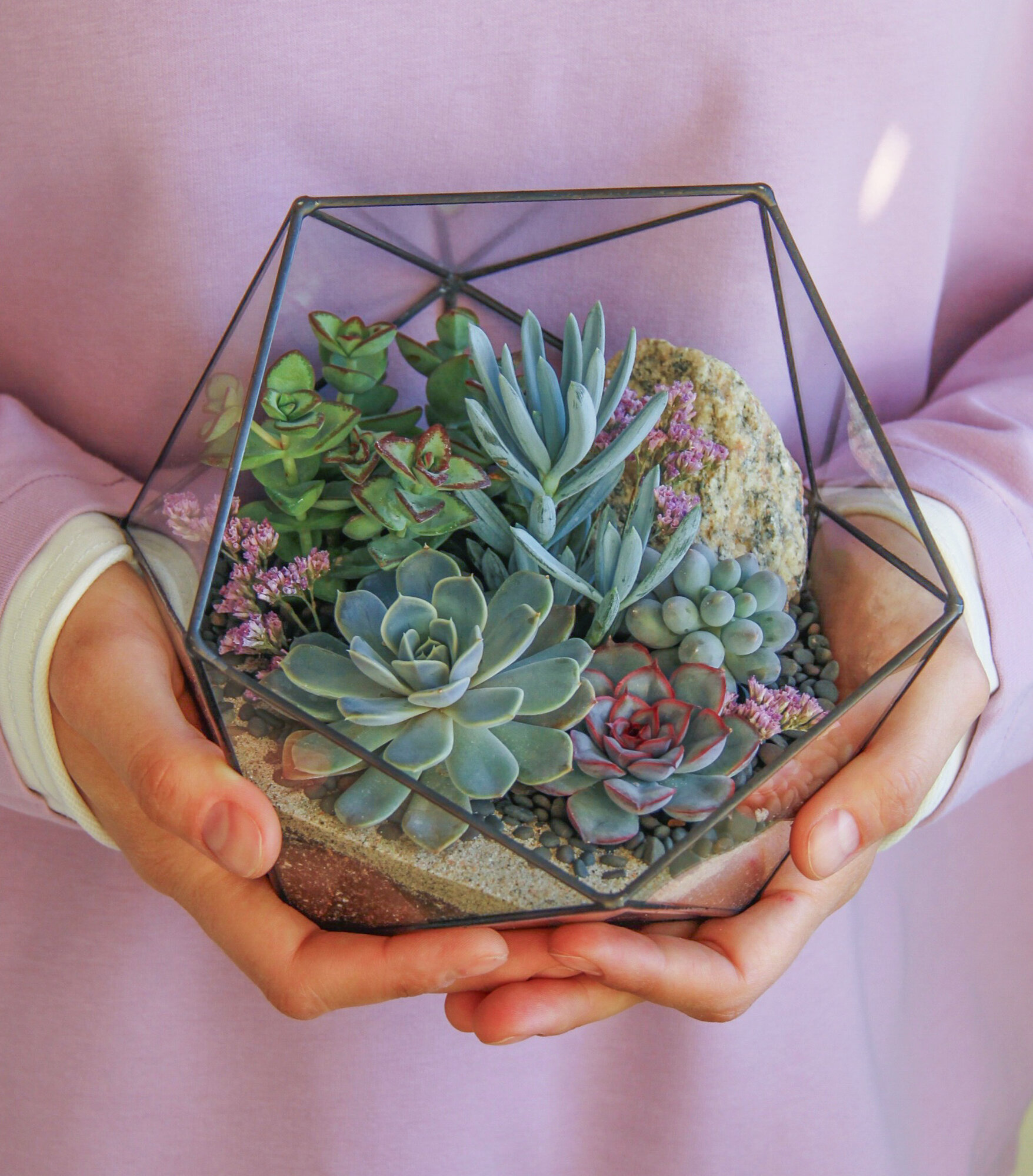 Флорариум со светолюбивыми суккулентами  Глициния  от SEVERINSIDE  17см