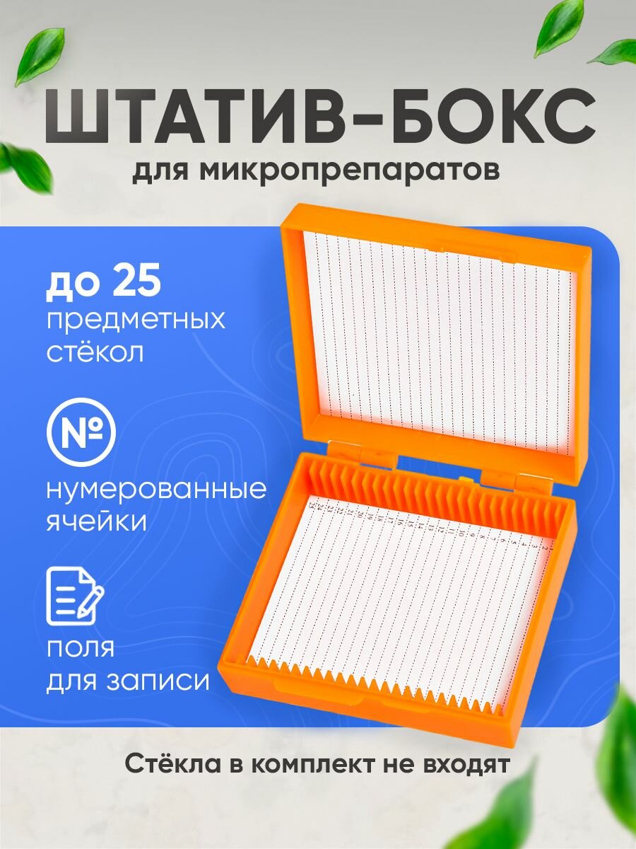 Штатив-бокс SEENVER для хранения микропрепаратов, кейс для хранения предметных стекол 25 штук