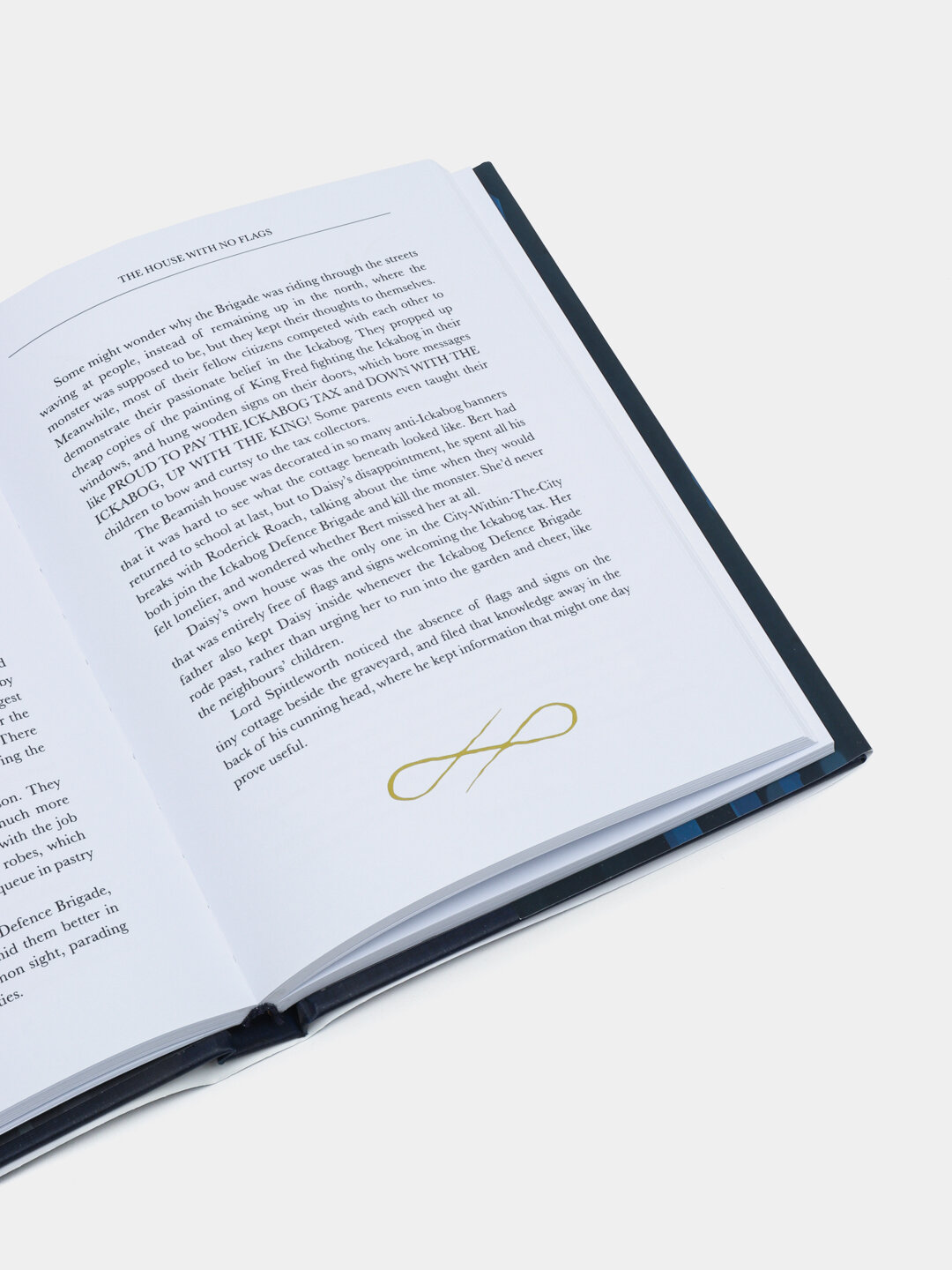 Книга The Ickabog, Дж. К. Роулинг, твердый переплет, 282 страницы, подарочное издание, Оригинал. — фото 1