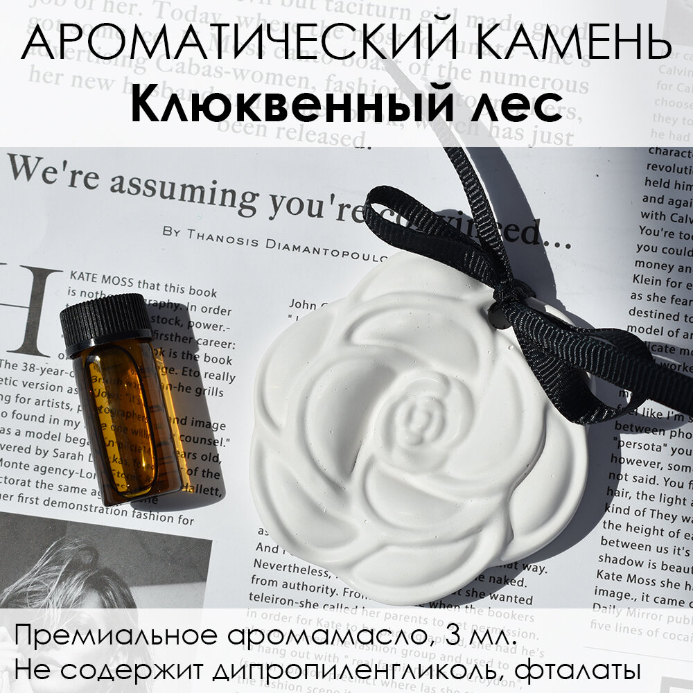 LORIEN STUDIO Ароматический камень Цветок "Клюквенный лес" в гипсе