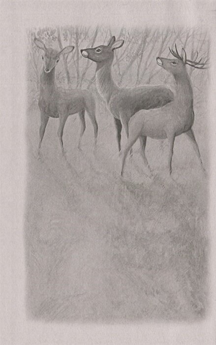 Бемби. Сказочная повесть — фото 1