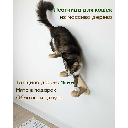 Лестница для кошек настенная, 50 см, массив дерева c джутом, левая, 3 ступени, WowWood