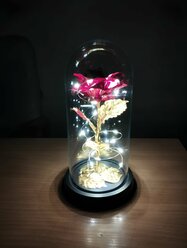 Ночник "Роза в колбе", с LED- подсветкой, 220х110 мм, батарейки в комплекте
