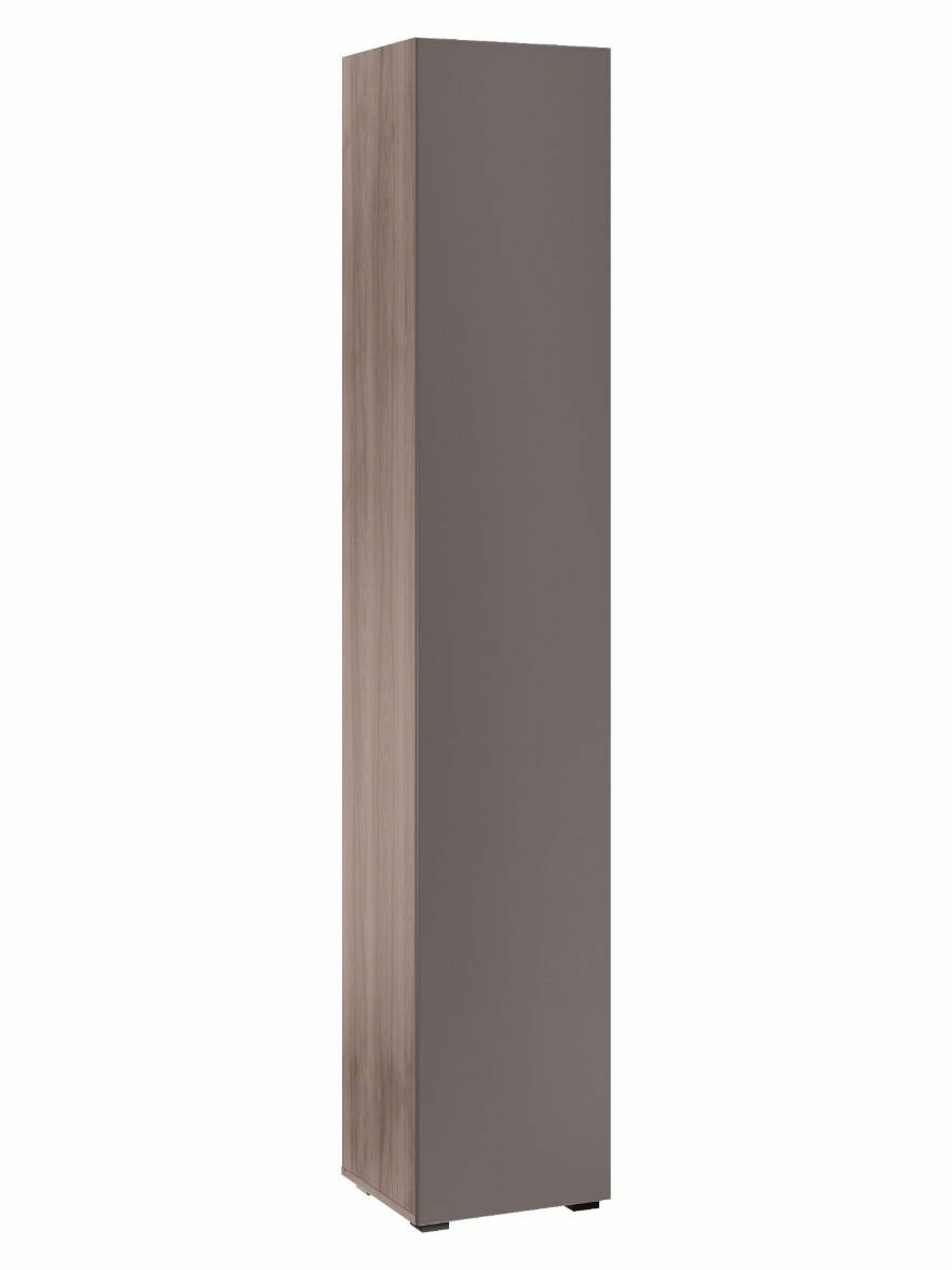 Шкаф-пенал распашной для одежды Роквуд с полками, с ящиками, 38.5х36.6х212 см, Эмили Блаш / Графит