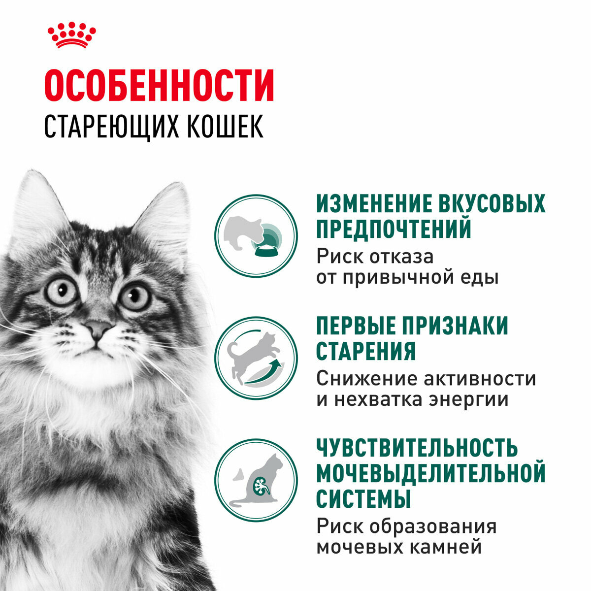 Корм влажный Royal Canin Instinctive 7+ для пожилых кошек старше 7 лет в соусе пауч, 85 г х 10 шт — фото 1