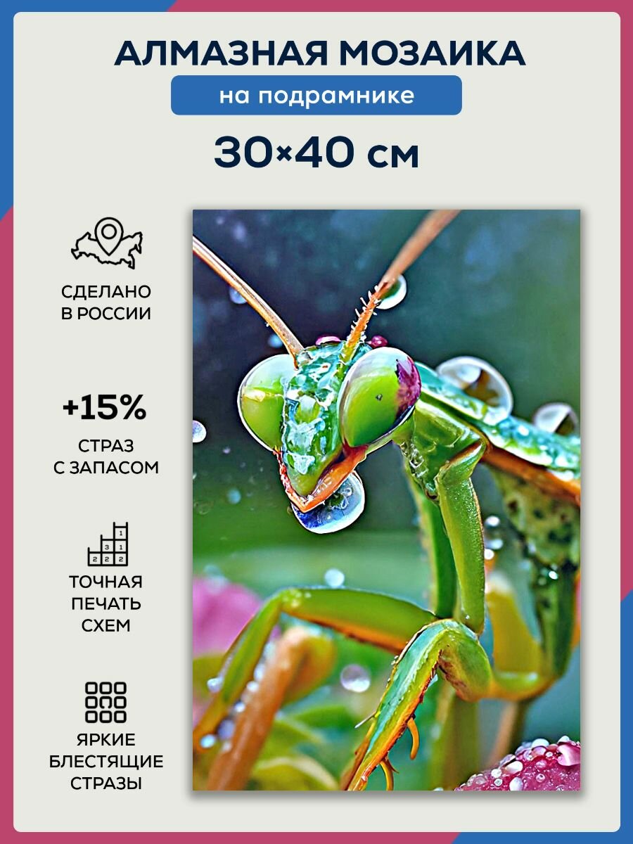 Алмазная мозаика 30x40 Кузнечик на подрамнике