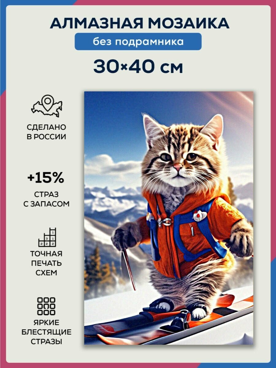 Алмазная мозаика 30x40 Кот Лыжник без подрамника
