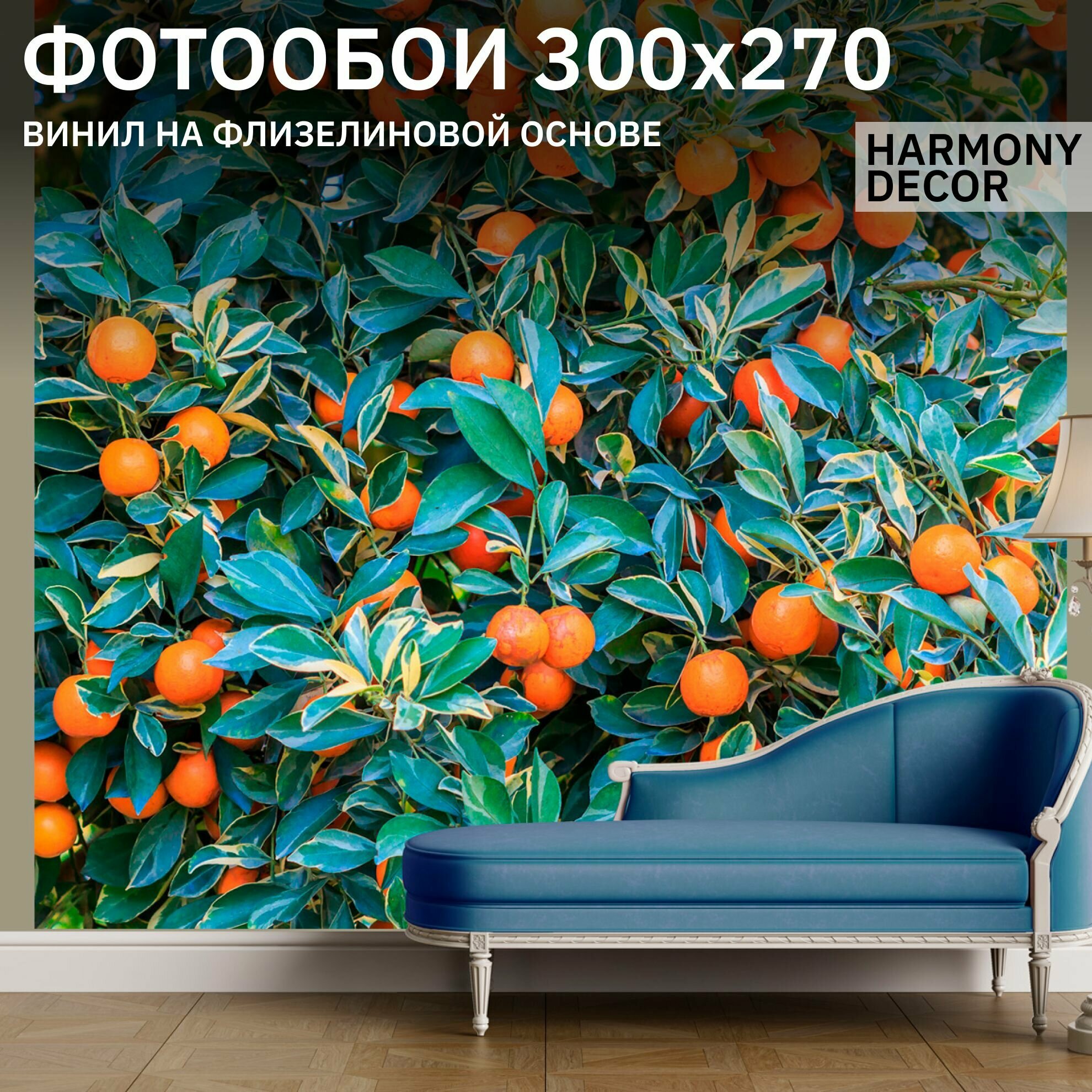 Фотообои 3D на стену флизелиновые Мандарины на дереве 300х270 см HARMONYDecor HD3-142 на кухню моющиеся в детскую в спальню водостойкие