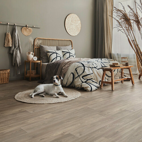 Изображение товара Линолеум бытовой Синтерос Comfort Spenser 5 3*4,0 м