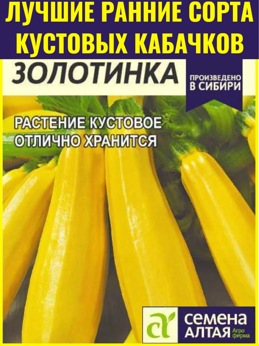 Семена раннеспелых кустовых кабачков цукини Золотинка - 2 г. Идеален для цельноплодного консервирования