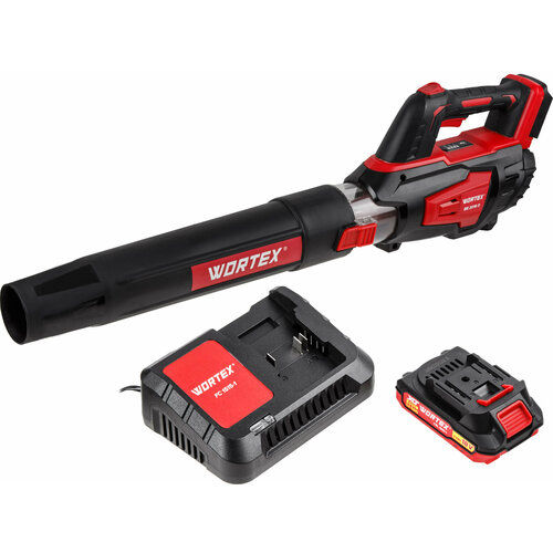 WORTEX BB 2018 D С аккумулятором и зарядным устройством (1333739)