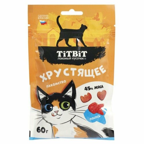 Лакомство TITBIT Лакомый кусочек Хрустящее с лососем для кошек (60 г)