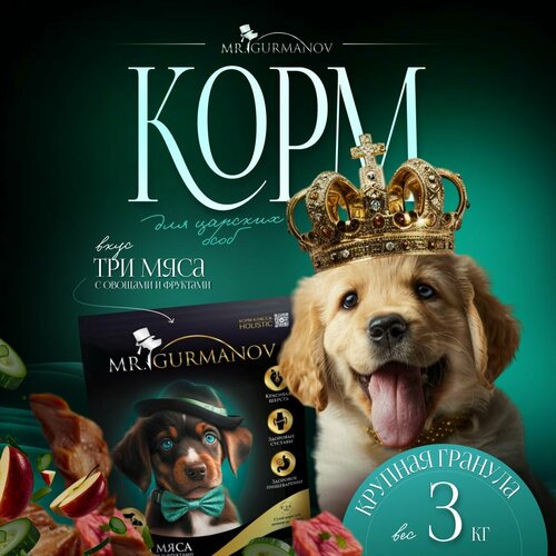 Корм для щенков крупных пород 3 кг