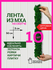 Лента из мха Bloom Showroom, 3x50см, стабилизированная, зеленый ц...