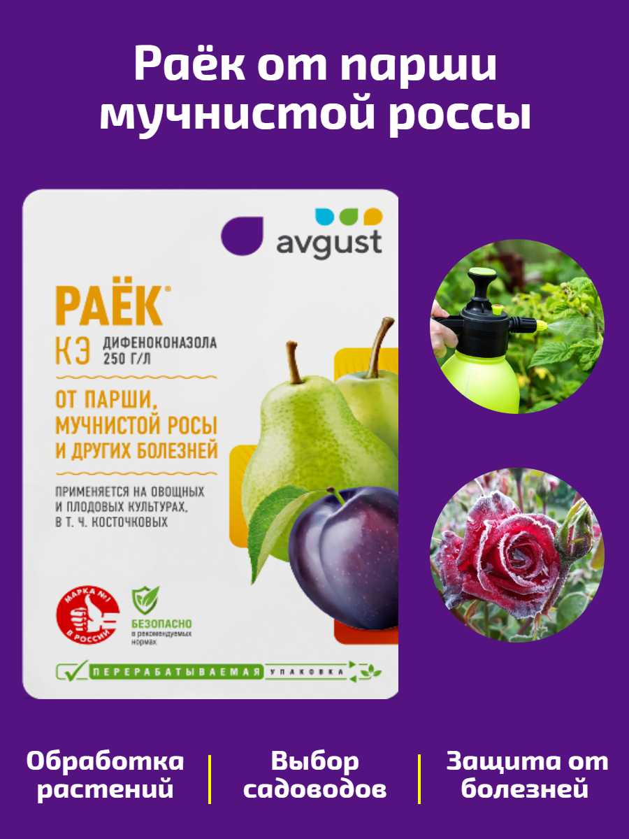 «Раёк» — высокоэффективный препарат для обработки плодовых культур от болезней.