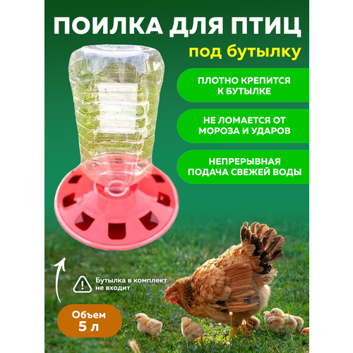 Поилка для птиц под бутылку 5 л