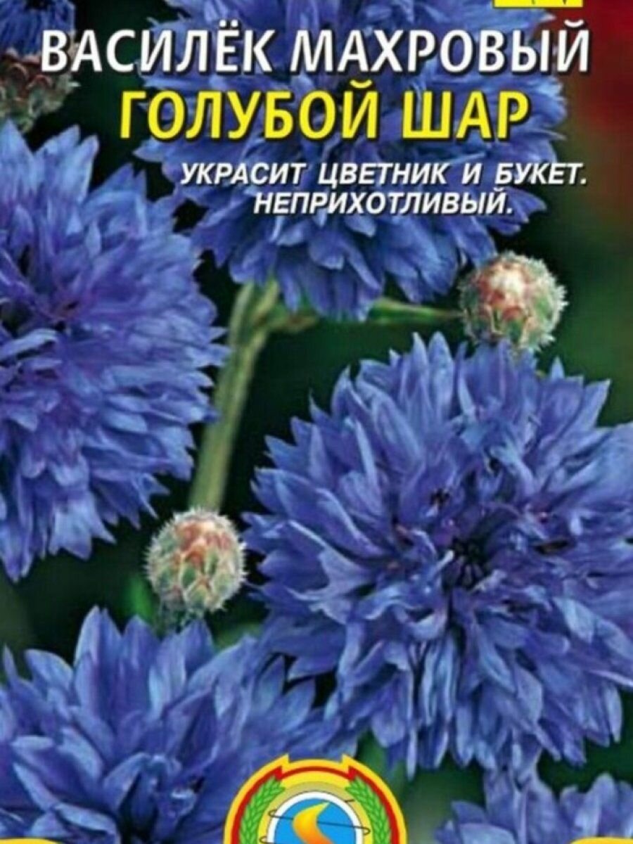 Семена Василёк Голубой шар 05 гр Плазменные семена