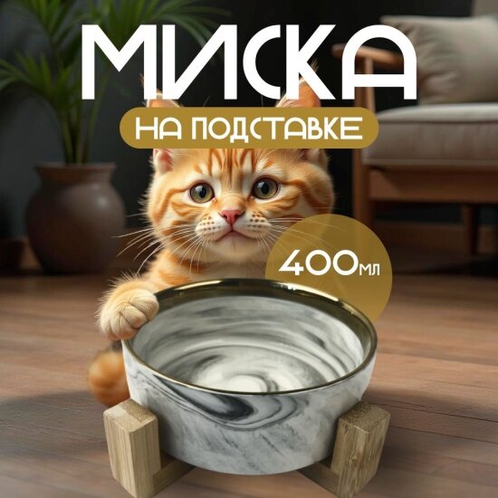 Миска Zoowell Aura для влажного и сухого корма, для кошек и собак, 400 мл (ZWbowl17)