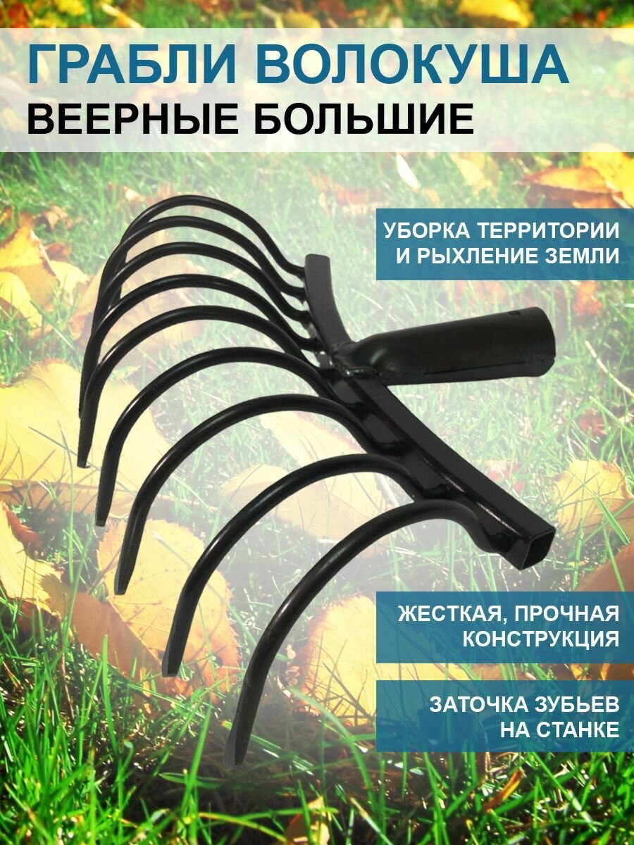 Грабли веерные Волокуша - Боронуша большие 30 см без черенка