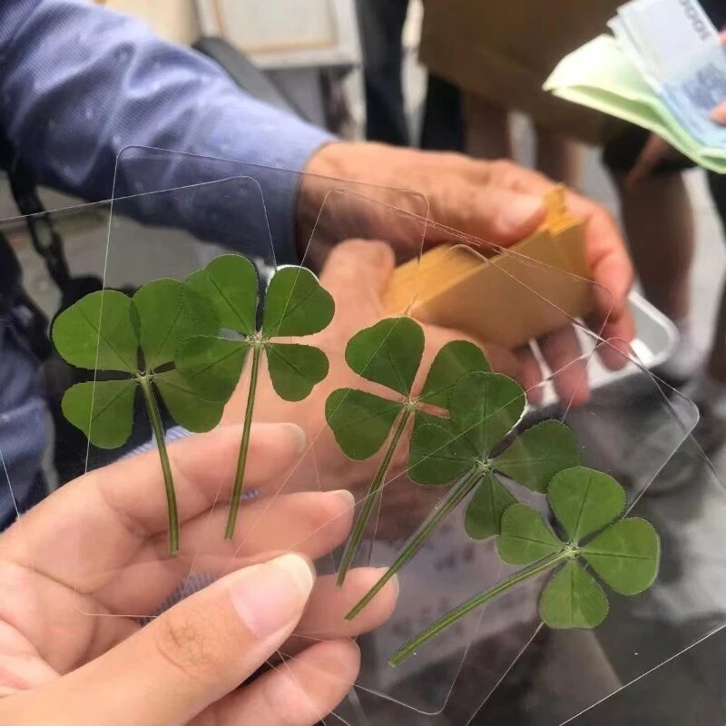 Прозрачные открытки Lucky Clover MOONBIFFY, 5pcs