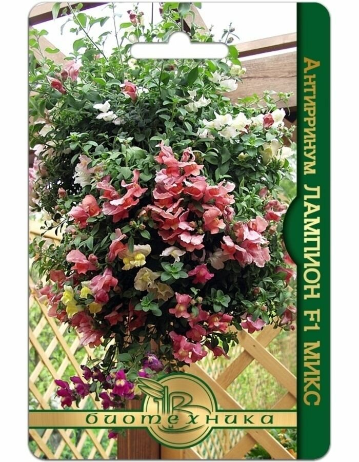 Семена Антирринум Лампион F1 Микс Биотехника