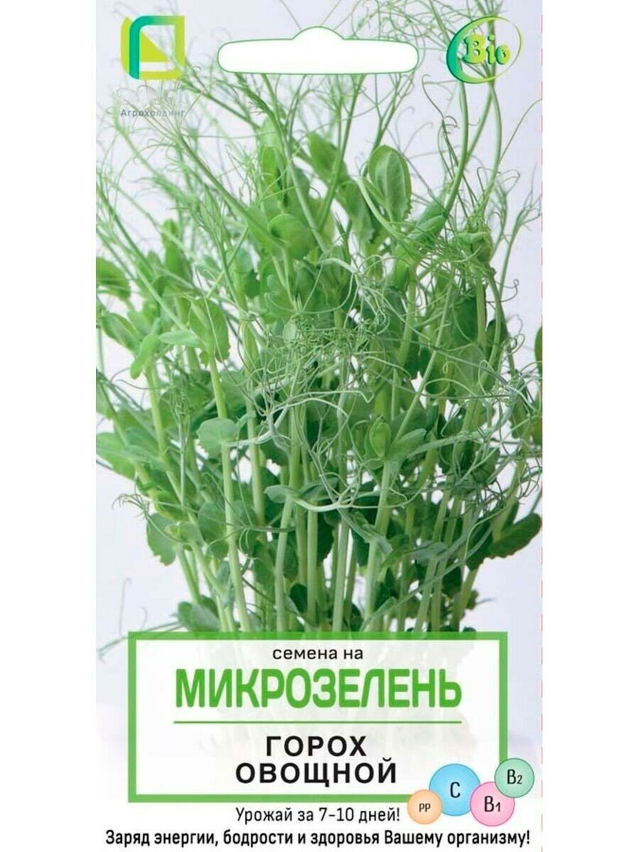 Микрозелень гороха овощного 10 г максимальная концентрация витаминов и микроэлементов на вашем подоконнике. Можно использовать в качестве гарнира