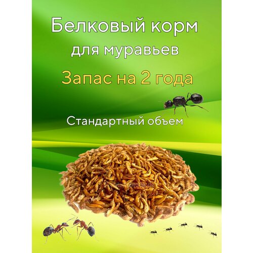 Белковая смесь гамарус для муравьев жнецов Messor structor мессор структор корм для муравьев жнецов зерновой