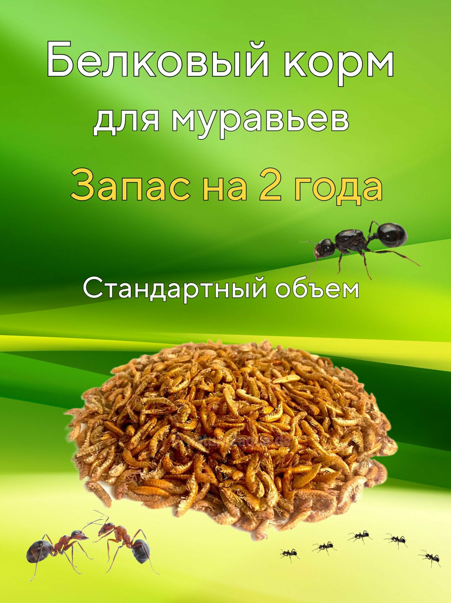 Белковая смесь гамарус для муравьев жнецов Messor structor мессор структор